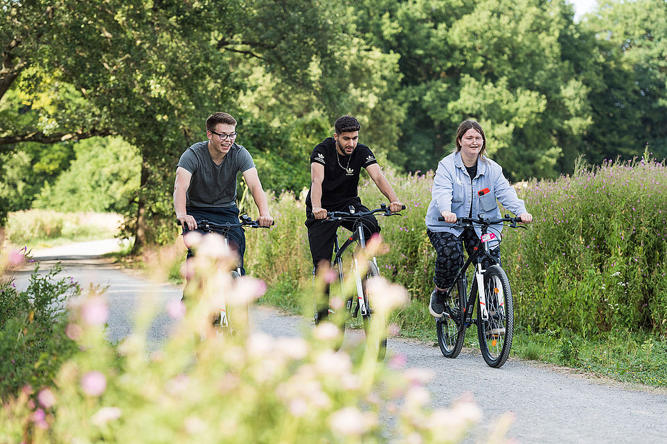 Drei Personen radeln gemeinsam auf einem Weg durch blühende Wiesen
